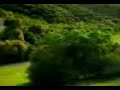 Flying car