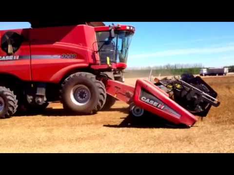 how to harvest clover