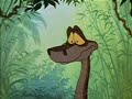 Kaa- Hypnotize me!!! indeed... Kaa- Hypnotize me!!! indeed...