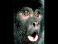 Evolution of Christianity - Defense Mechanisms