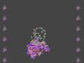videos de The First Responder in an Emergency: Mre11 Dimer Binding to Broken DNA