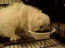 suet-8-of-8-19-oct-07.html