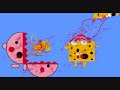 Kirby Meets Spongebob Kirby Meets Spongebob
