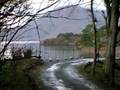 videos de Killarney lakes & Killarney deer