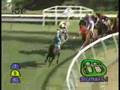 2007 Nakayama Grand Jump 中山グランドジャンプ