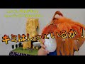 【ミュージックパネルシアター】キミはしっているか!/あそびうた・保育に関する動画