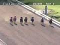 videos de FAIR GROUNDS, 2008-08-23, Race 8