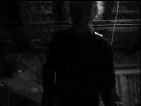 börn - saccharin