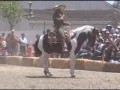 Cascos Ligeros-Con Caballo Obediente