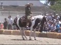 Cascos Ligeros-Con Caballo Obediente