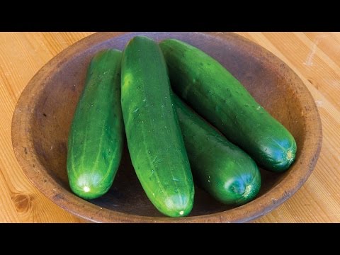 how to grow cucumbers