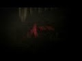 VIC - "Twerk It" Lyric Music Video