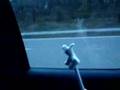 Bunny Bun Bun On The Moterway!!
