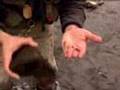 Tight Lines Fly Fishing Lesson-Learning What Trout Eat