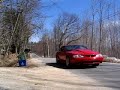 94 Mustang Cobra drive by