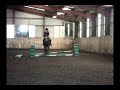 Crazy pony lesson