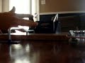 finger-skate.html