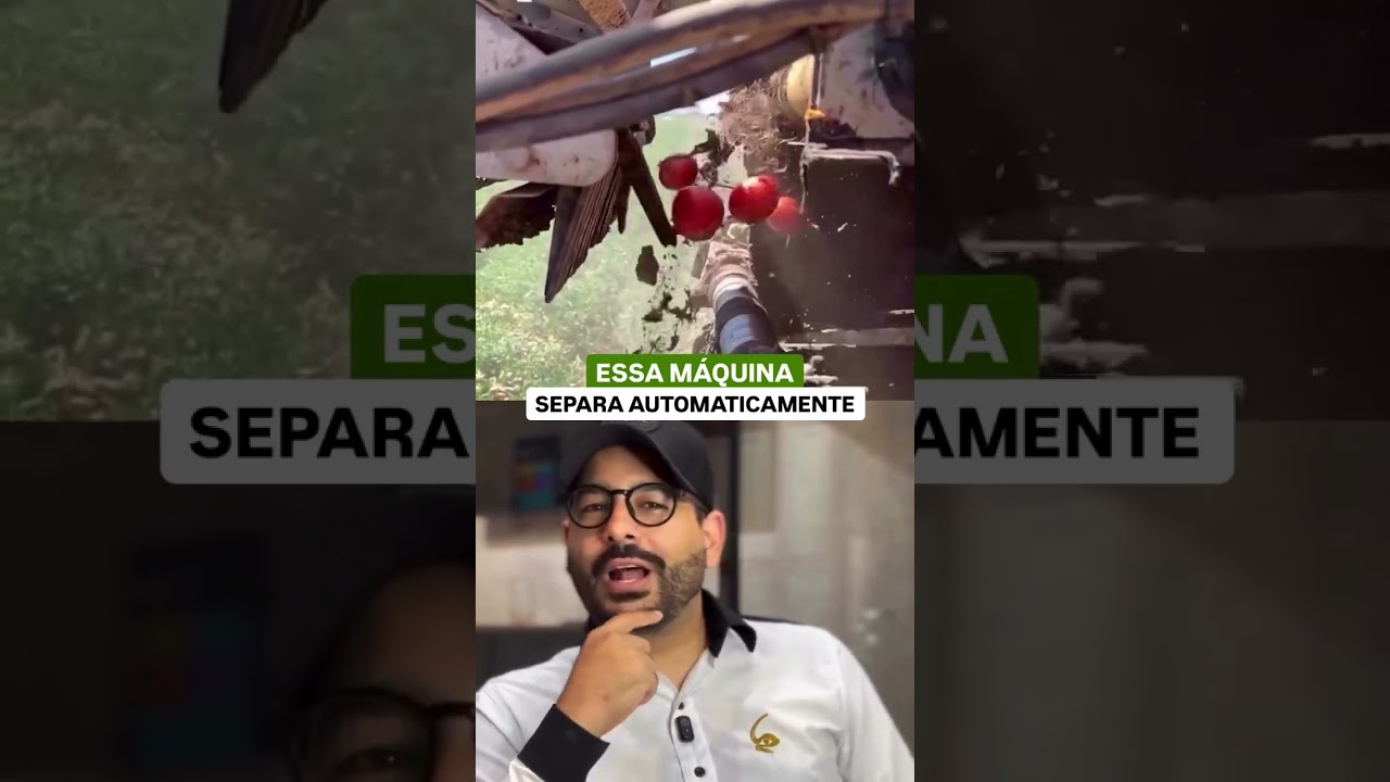Essa máquina seleciona tomates sozinha e é bizarro de ver 😳🍅 #AgroTech #Tecnologia #Shorts