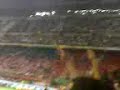 cori inter-napoli by bonfo91