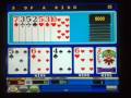 videos de Novoline - American Poker 2 - Sizzling Hot - Bingo -