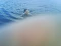 Saiwa jump
