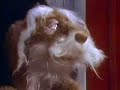 Sooper Puppy: Self-Esteem (clip)