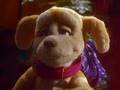 Sooper Puppy: Self-Esteem (clip)