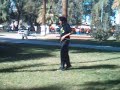 en el arbol
