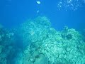 Snorkeling West Bay part 6, Roatan, Honduras
