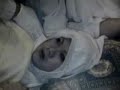 Jinn