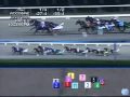 All Speed Hanover - Breeders Crown - 2-year-old colt pacers