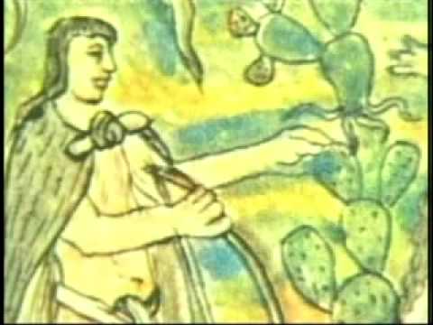 Culturas del Norte de México: I