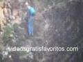 Pescadores jugándose la vida