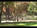 INDEPENDENCIA FINANCIERA DESDE CHILE OMAR VILLALOBOS