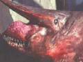 2. Críptidos II - Fenomenos Paranormales II