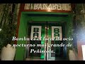 Bambu Peñiscola