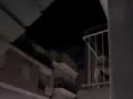 este es un breve fragmento del castillo de fuegos artificales que se dispara en el barrio de carr�s (elche) con motivo de la festividad de nuestra se�ora del carmen
