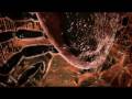 3DNA Medical Animation Reel