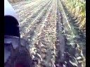 Claas Jaguar 950