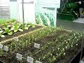 2007 National Farm Machinery Show - Syngenta Booth