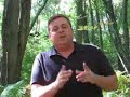 American Staffordshire Terrier - Dog Training Video