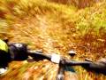 Bronte Creek Campground MTB