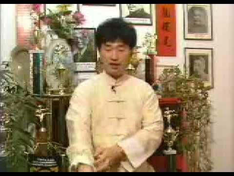 Choy Li Fut Kung Fu - Doc Fai Wong 1992