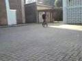 bmx in mg 15