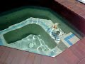 1 month old Darwin Swimming/?????????????????