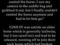 Original Patterson/Gimlin Article- Eureka, CA-Oct. 21, 1967