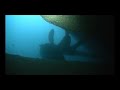 Diving the USS Oriskany Props