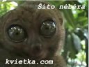 Drastiskas žvilgsnis - šito nebėra Drastiskas žvilgsnis - šito nebėra