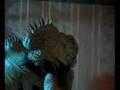 My little iguana