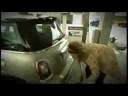 frauen-an-tankstelle-dmotor.html